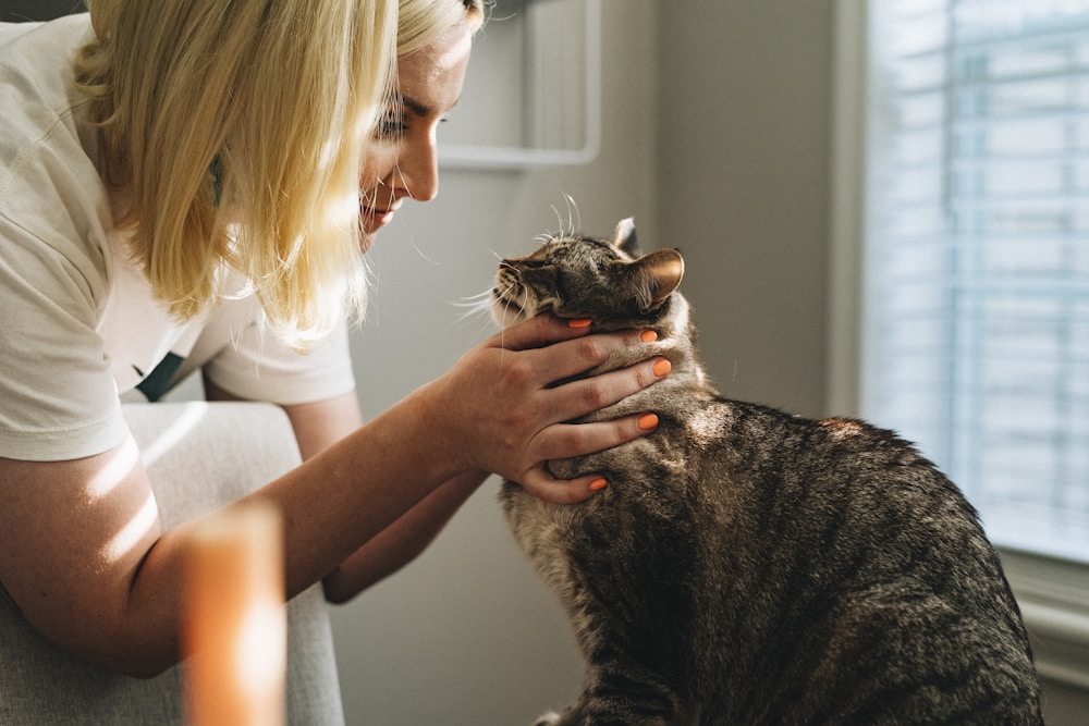 Pet Clinic Premium Business Website